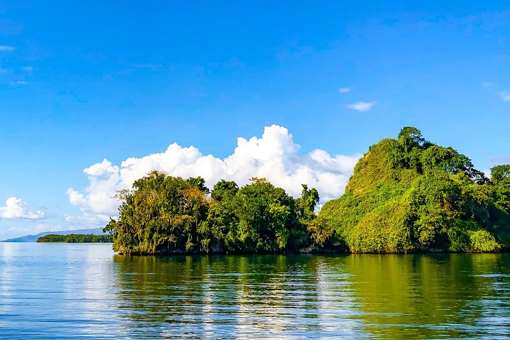 Parque Nacional Los haitises | Punta Cana | disfrutaenpuntacana | República Dominicana